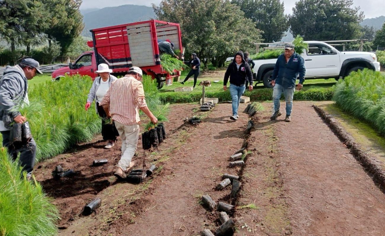Fomenta Nación Verde proyectos de abastecimiento hídrico