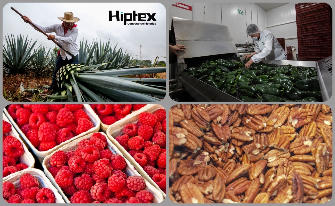 El tequila y las salsas lideran las mesas del mercado británico; el volumen total de exportación se disparó un histórico 70.3%.