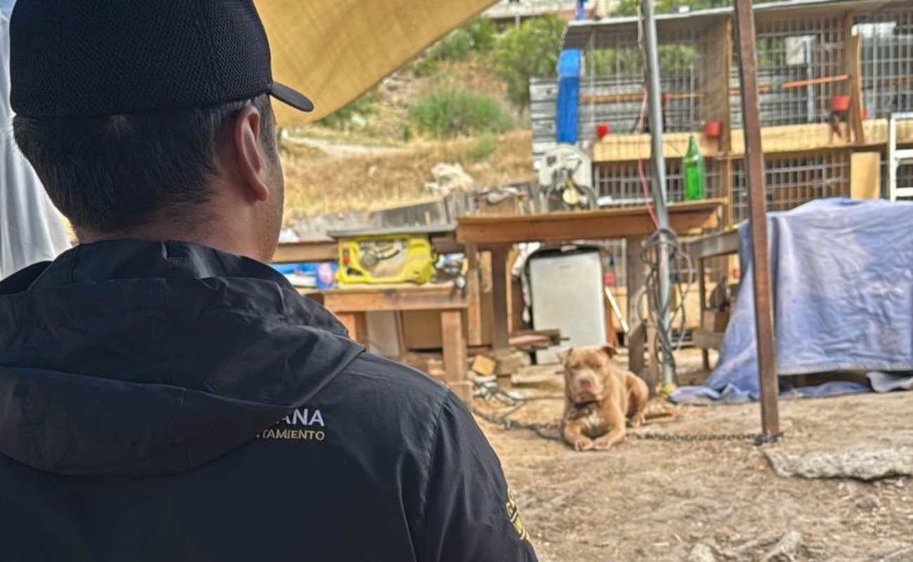 El canino fue atendido por sus familiares.