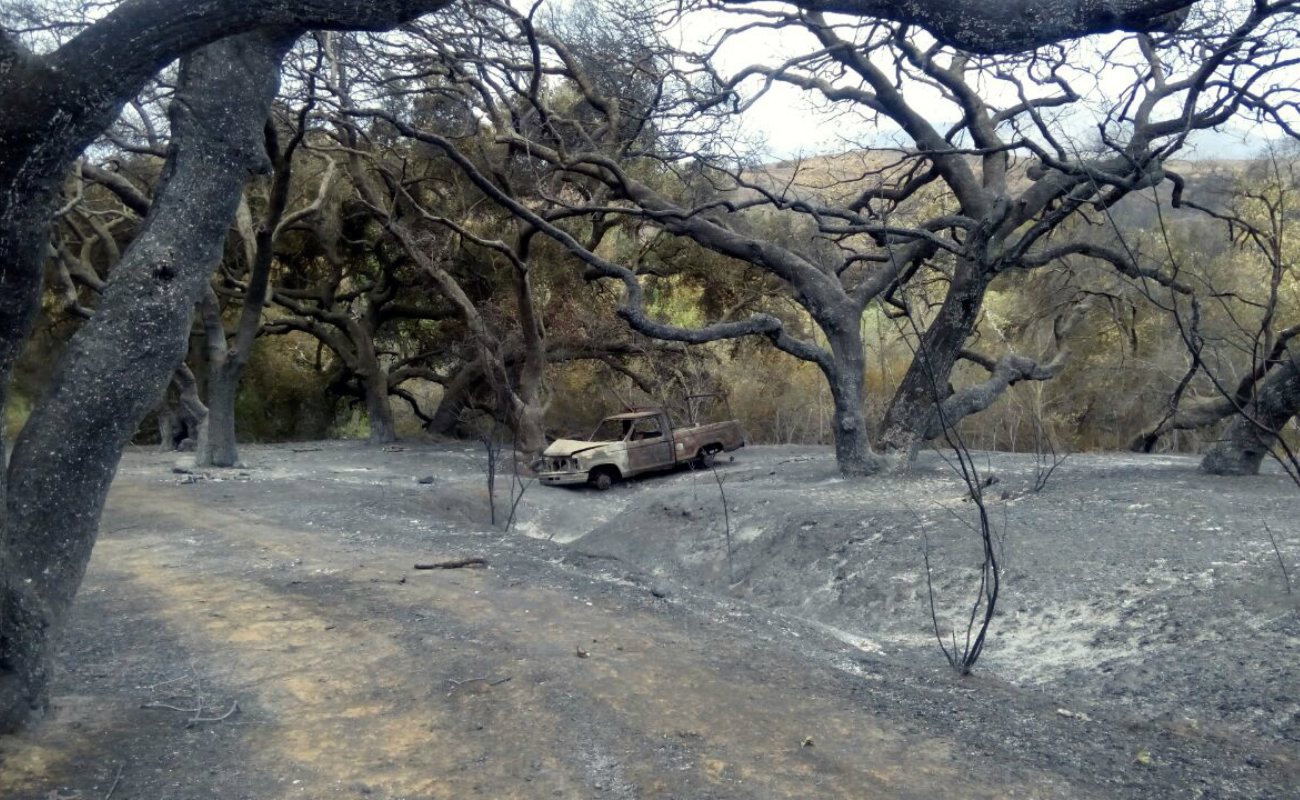 Vandalismo ocasionó incendio; consumió 24 casas