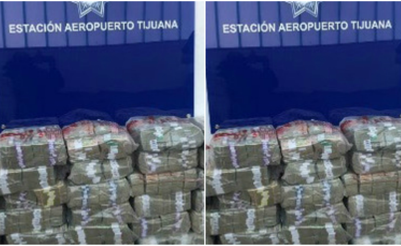 Un histórico decomiso de dólares realizó la Policía Federal en el Aeropuerto de Tijuana.