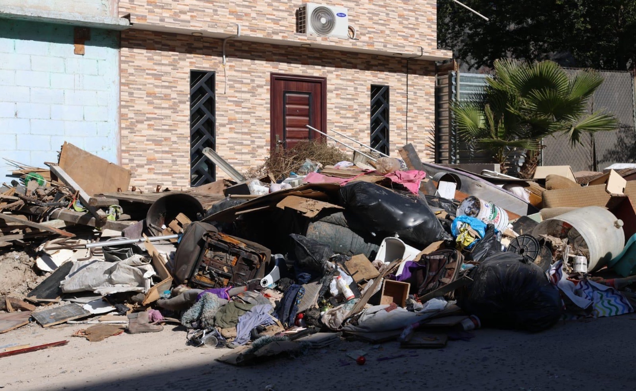 Recolectan 40 toneladas de basura pesada.