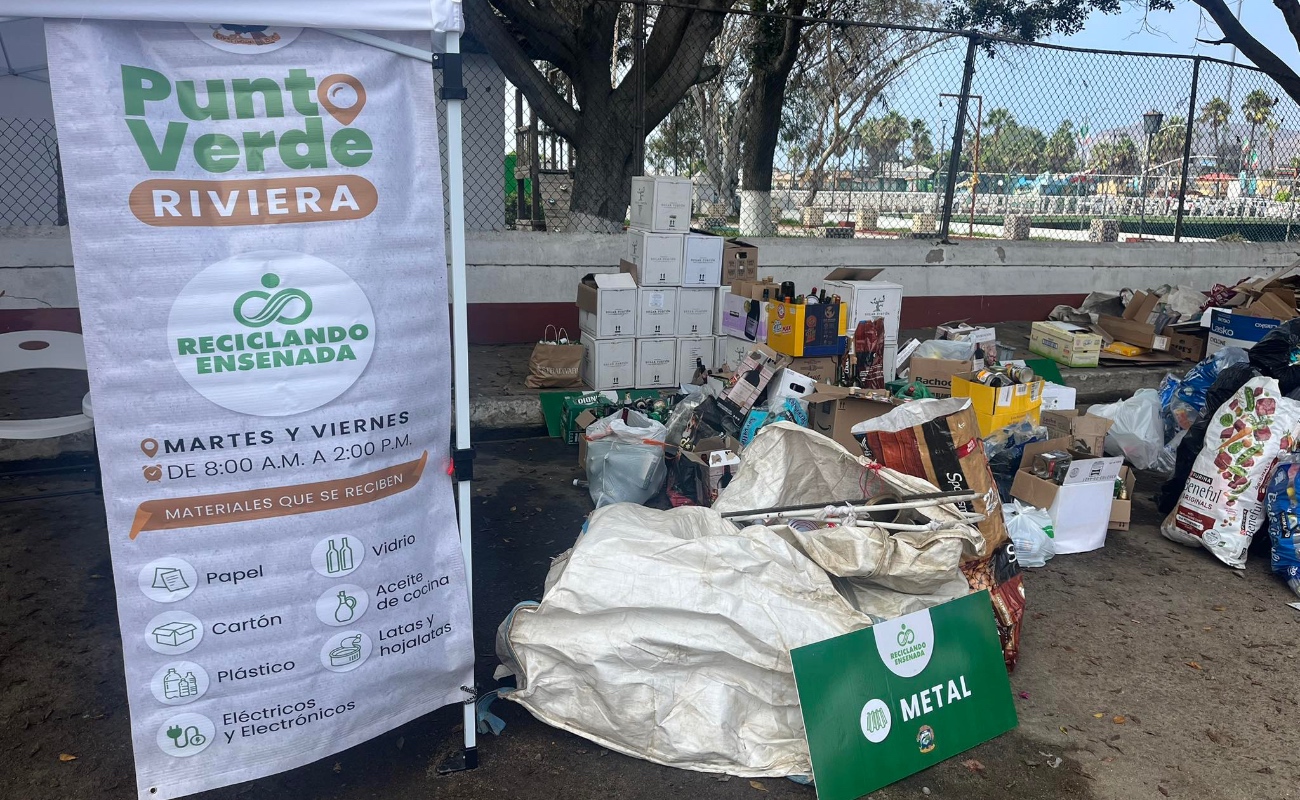 Logra Punto Verde más de 100 mil kilos recolectados: Claudia Agatón