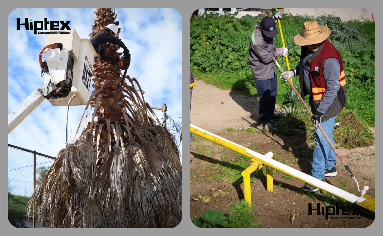 Cuadrillas de trabajo del programa ‘Tijuana: Ciudad Limpia’,
