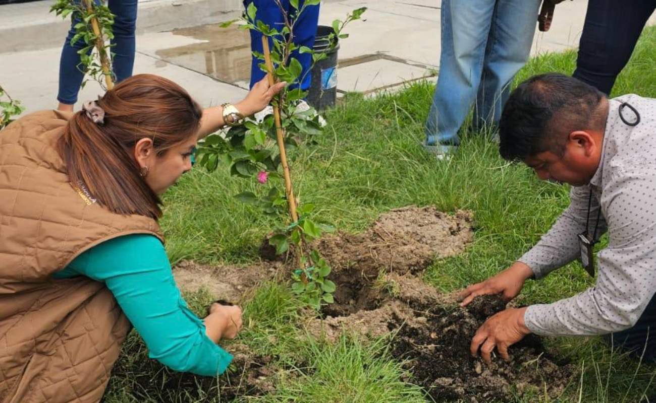 Se capacitaron técnicas de cultivo urbano y elaboración de composta.