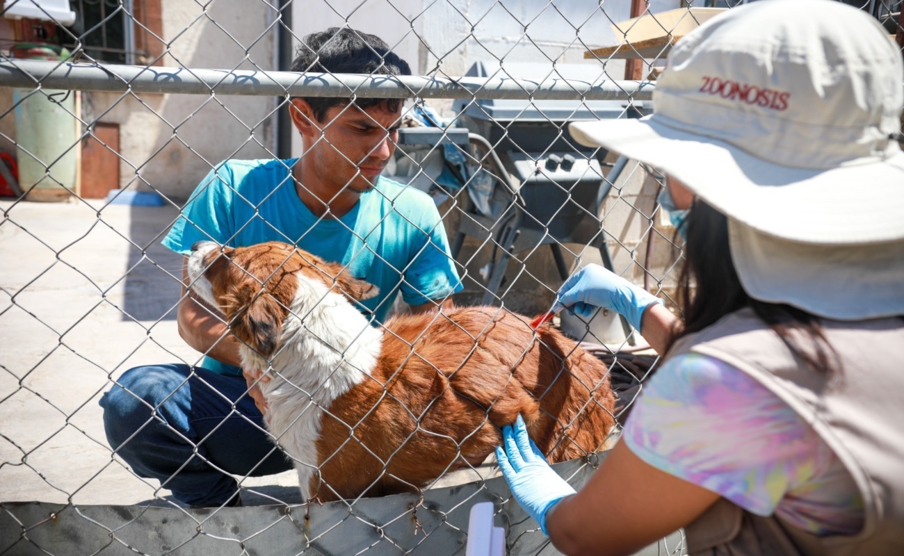 Llama Secretaría de Salud a fortalecer el cuidado responsable de mascotas