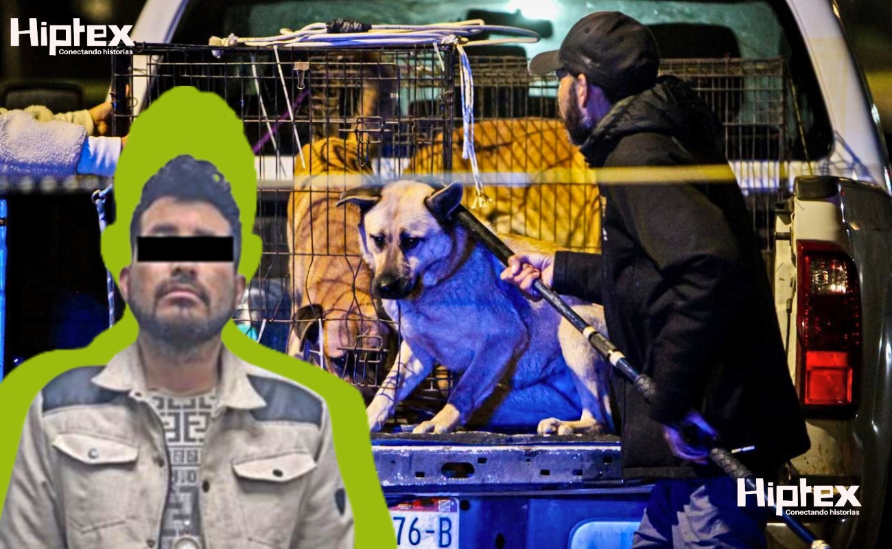 Sufre niño brutal ataque de perros; detienen al padrastro por omisión de cuidados