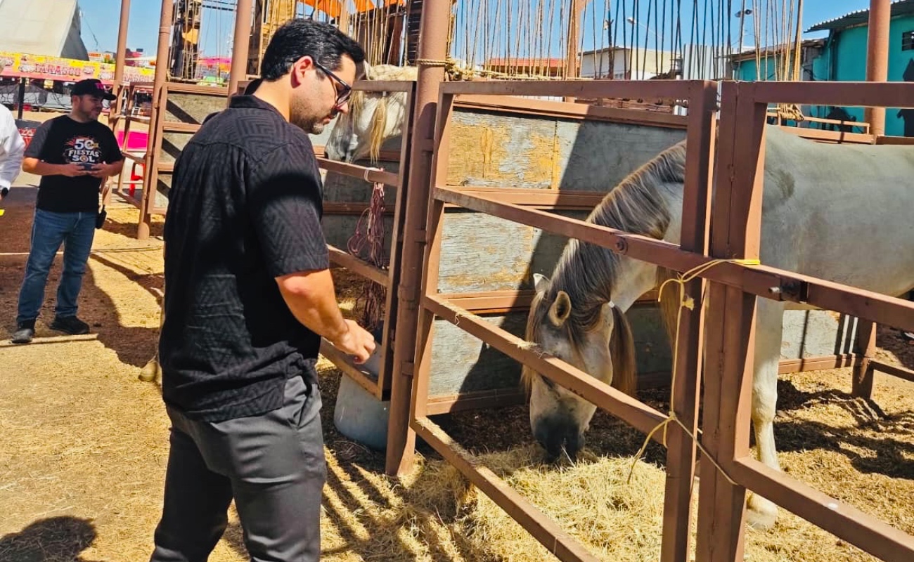 Secretaría de Medio Ambiente y Fiestas del Sol colaboran en fortalecimiento de protocolos de bienestar animal