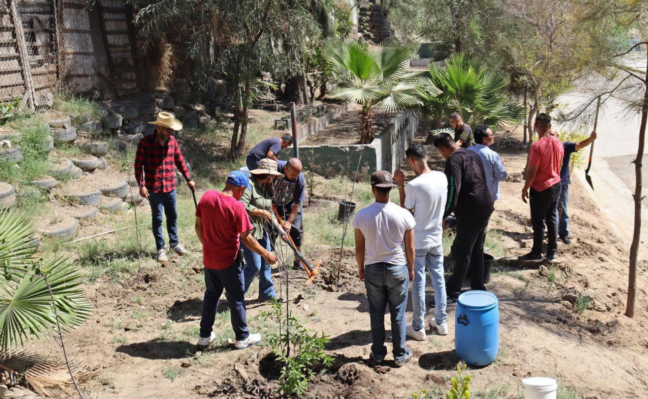 Impulsan proyecto ambiental ‘Raíces del Cambio’
