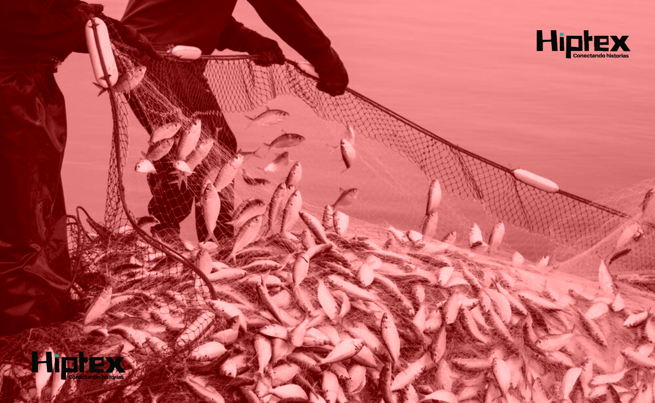 El pasado 8 de julio fue asesinada Minerva Pérez Castro, entonces presidenta de Cananinpesca.