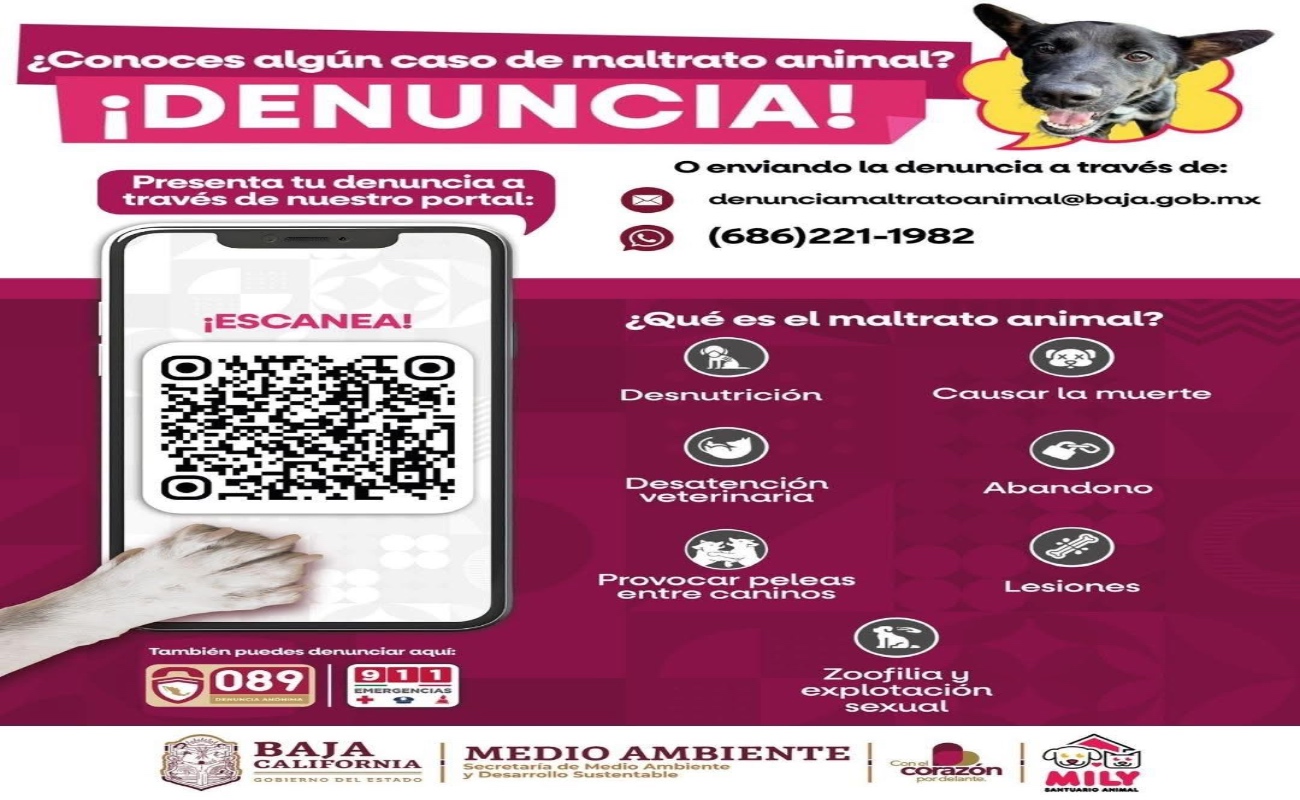 Las denuncias pueden realizarse a través de diversos canales oficiales, con el fin de facilitar y agilizar la atención de los reportes.