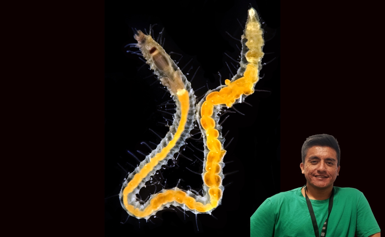 Estudiante del CICESE realiza estancia de investigación en el Museo de Historia Natural de Los Ángeles