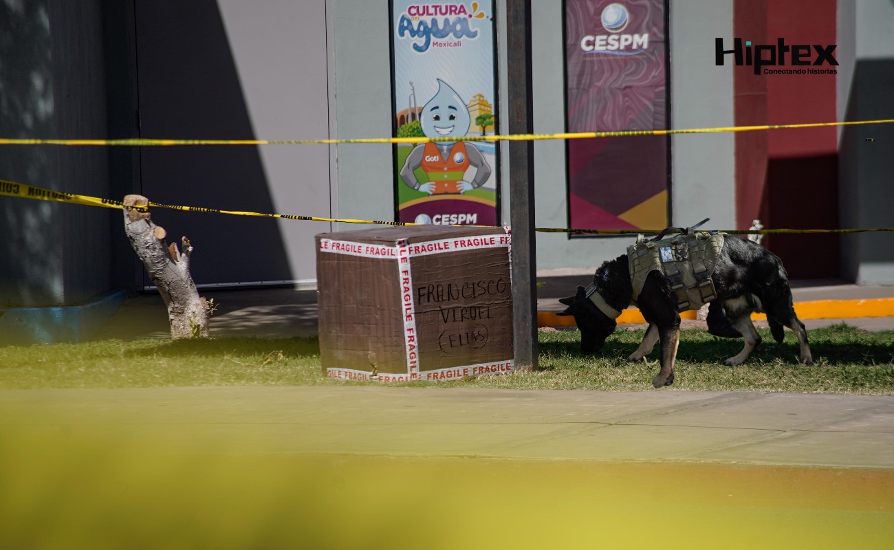 Con apoyo de un binomio canino, se activó el protocolo para inspeccionar el contenido.