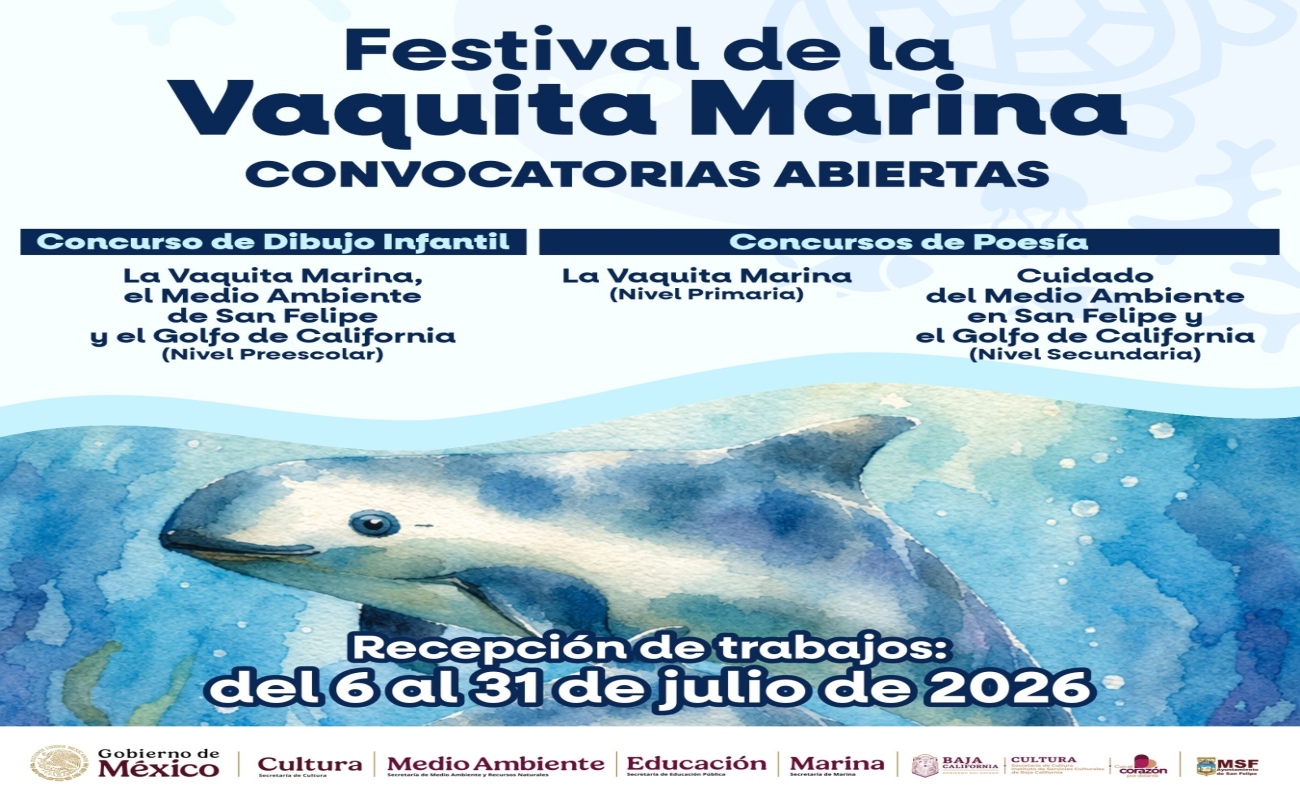 Convoca gobierno de BC a niños y jóvenes a crear por la conservación de la vaquita marina y el Golfo de California