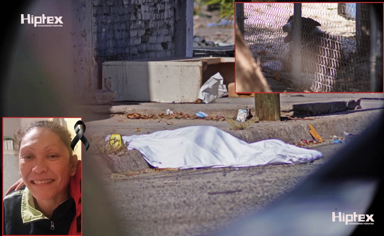 Hallan a mujer sin vida; sospechan fue atacada por perros