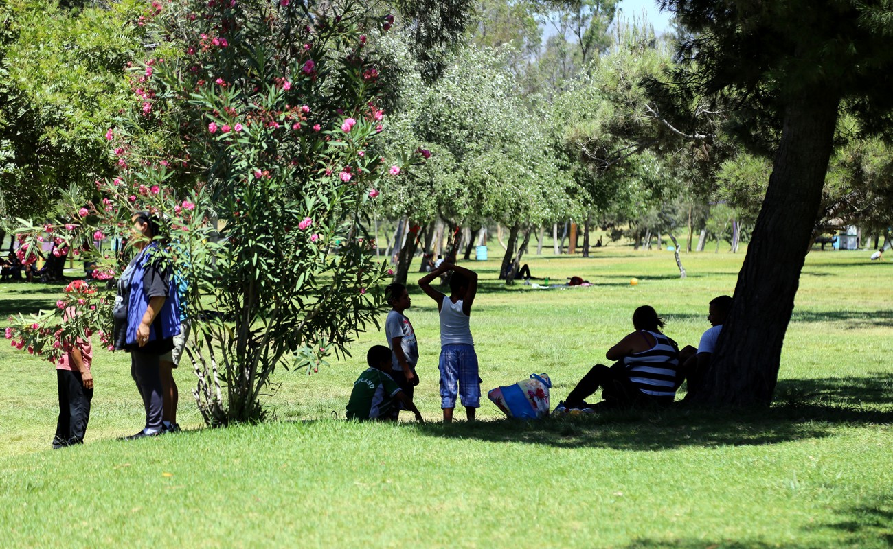 Tres muertes más en esta semana se suman a las defunciones por calor en la actual temporada de verano.