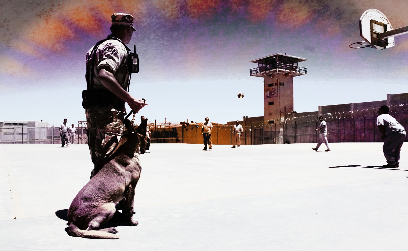 Los agentes caninos se suman a la vigilancia del Sistema Penitenciario de Baja California