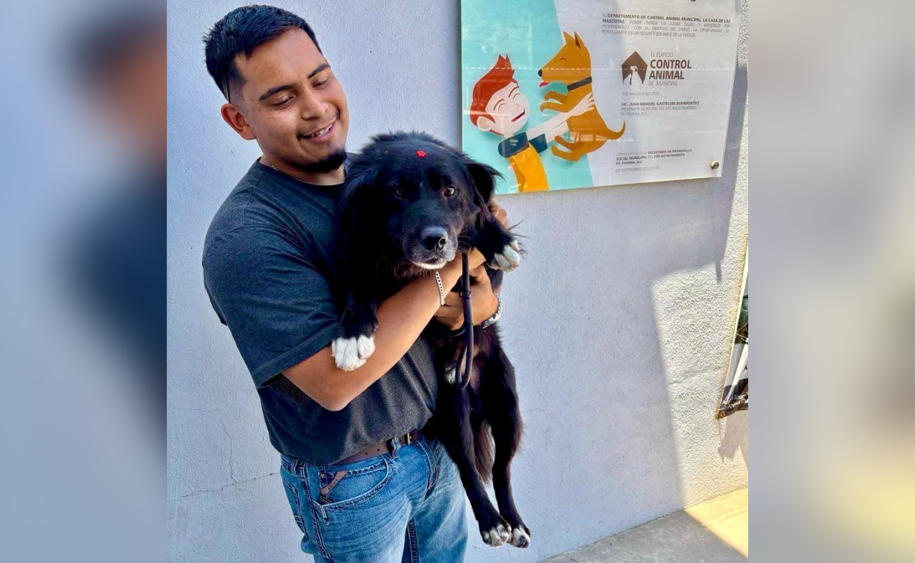 Promueven la adopción responsable de perros y gatos en Tijuana