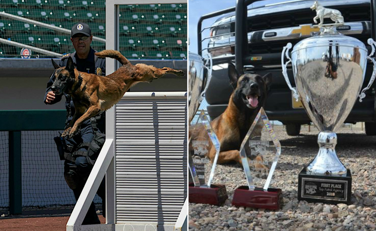 Son la mejor agencia policial en el torneo organizado por la Arizona Law Enforcement Canine Association.
