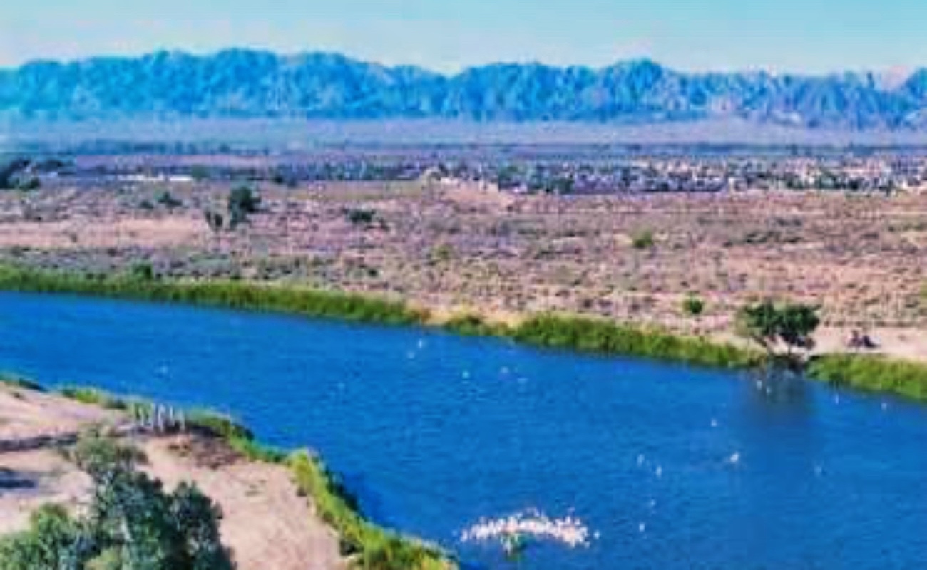 Sistema lagunar de Mexicali, a un paso de ser área natural protegida: SMADS