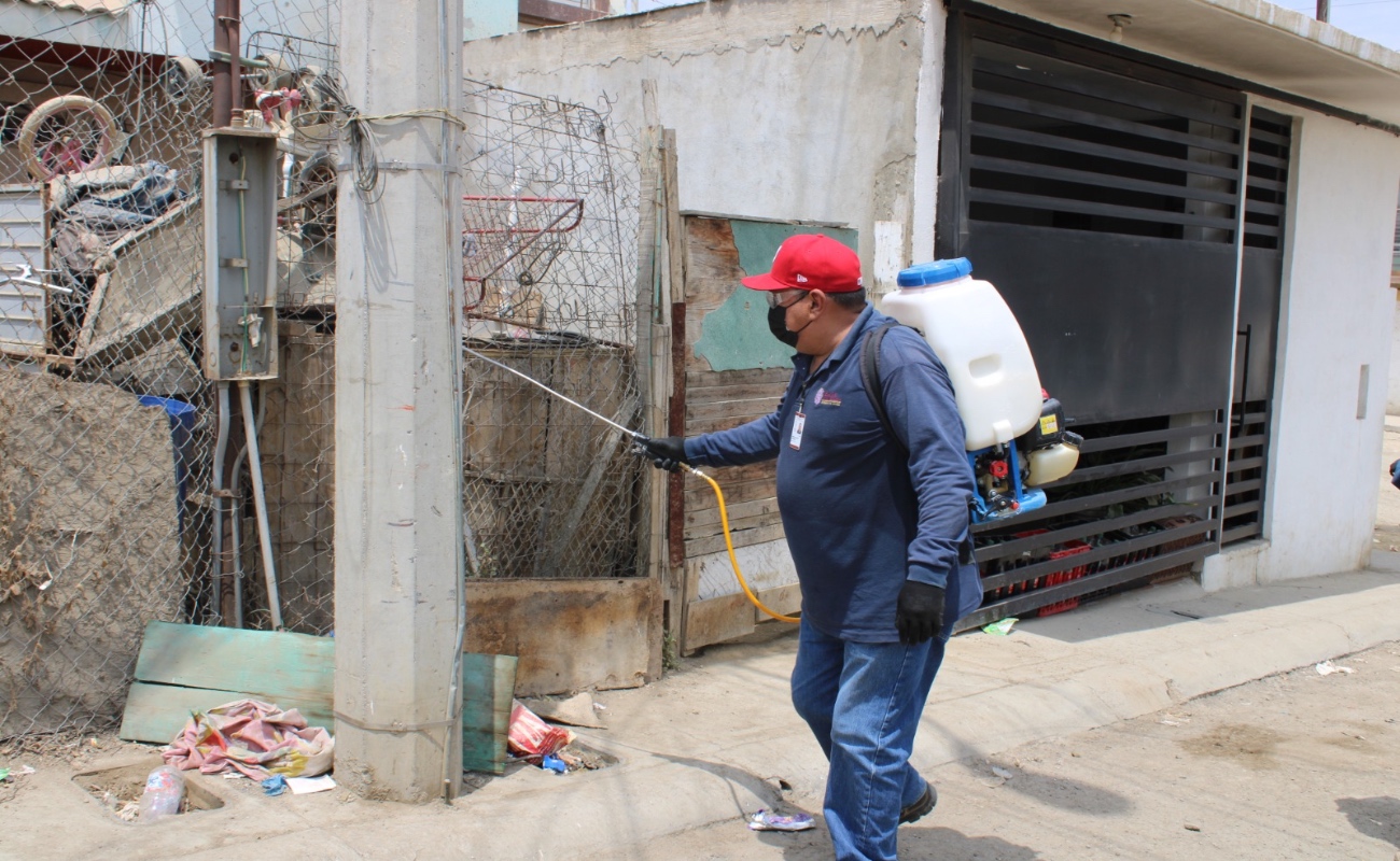 Advierten sobre Rickettsiosis durante temporada de calor