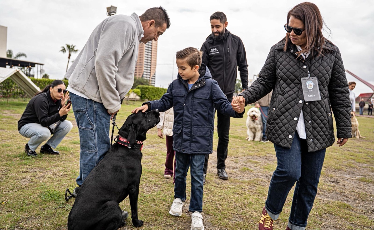Cinco perros fueron certificados en zooterapia y completaron el curso “Perro Buen Ciudadano” tras un año de capacitación.