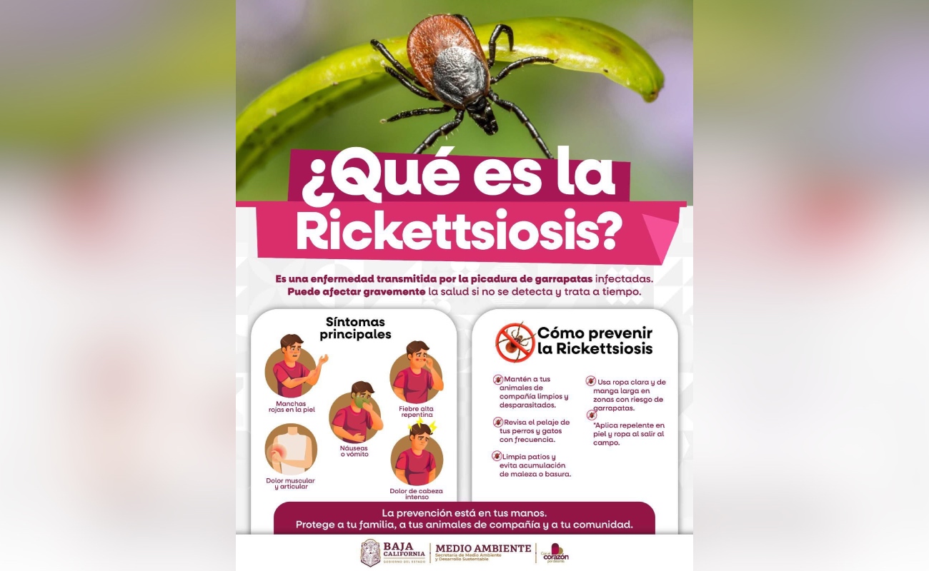 Invita Secretaría del Medio Ambiente a prevenir la Rickettsiosis