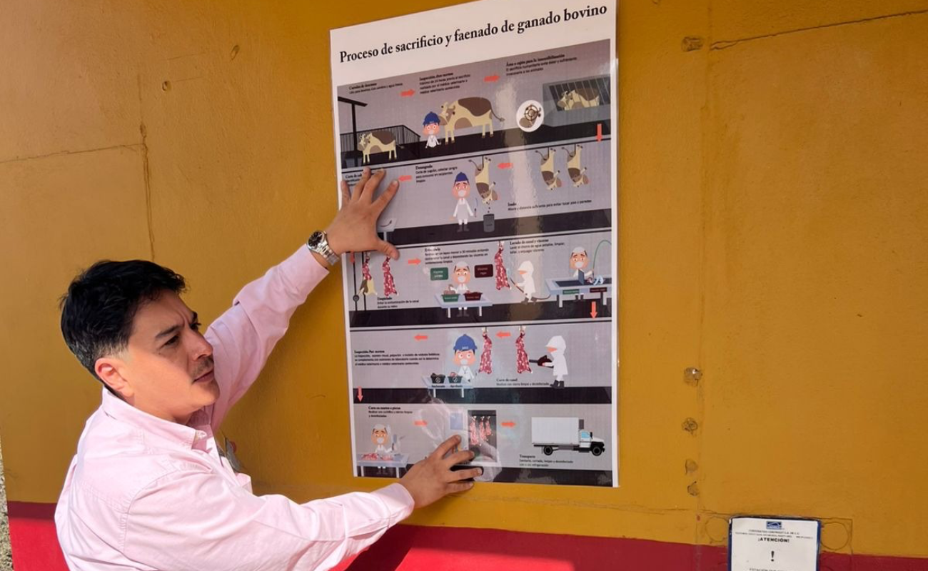 Para mejorar los procesos y evitar riesgos sanitarios.