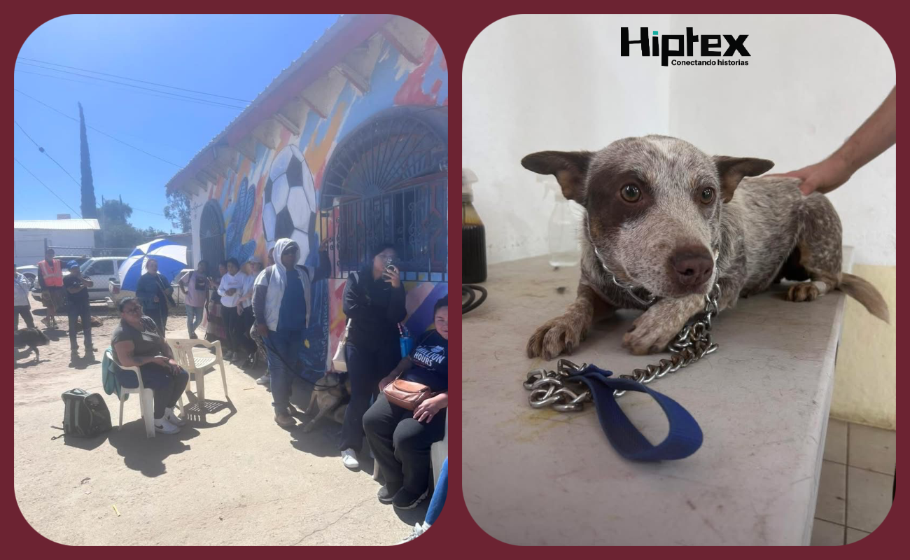 Impulsa Tecate el bienestar animal y fomentar una cultura de tenencia responsable de mascotas con campaña de esterilización.