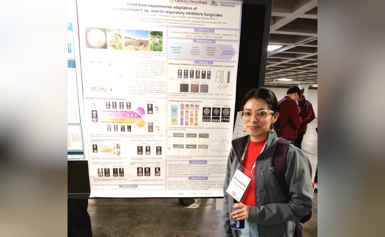 Su investigación aporta conocimiento para mejorar el manejo de enfermedades por hongos en cultivos de la frutilla.